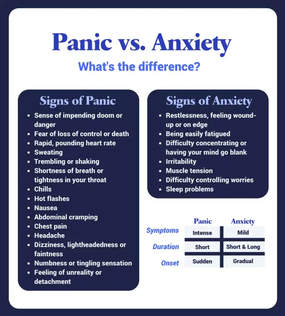 difference between panic attack and autistic meltdown